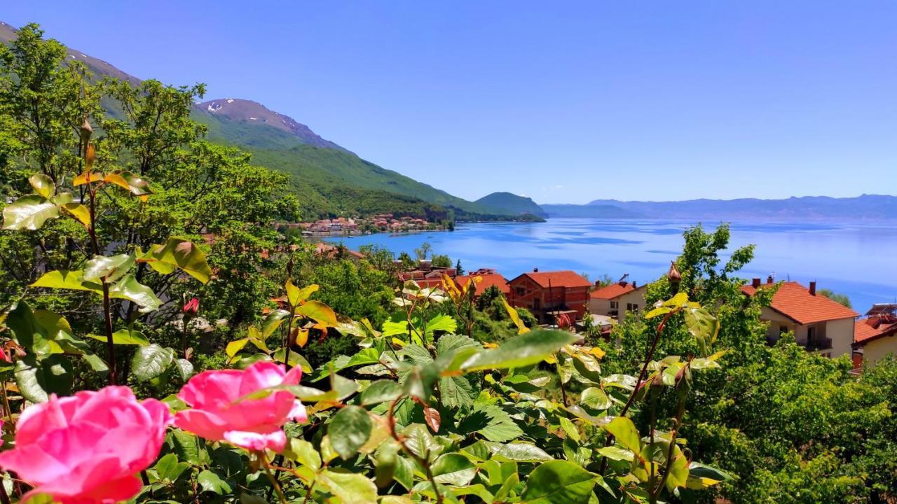Villa Forest Paradise Ohrid Exterior foto
