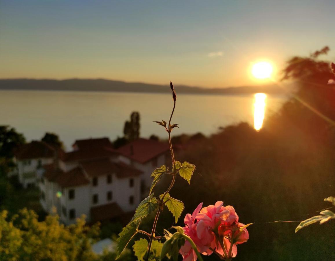 Villa Forest Paradise Ohrid Exterior foto
